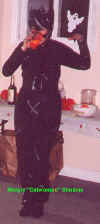 Tone Def Catwoman